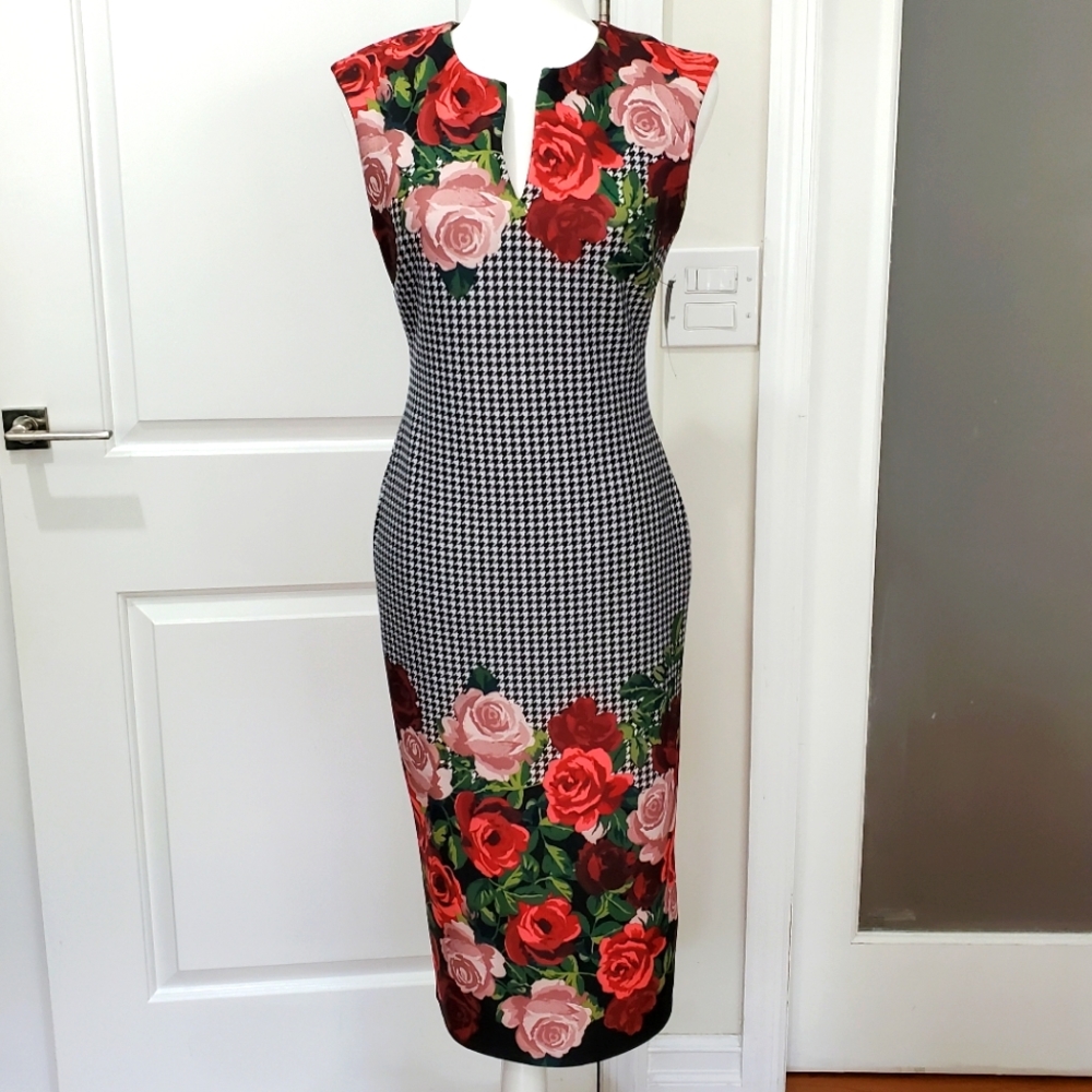 New York Company Queen of Hearts Sheath Dress.